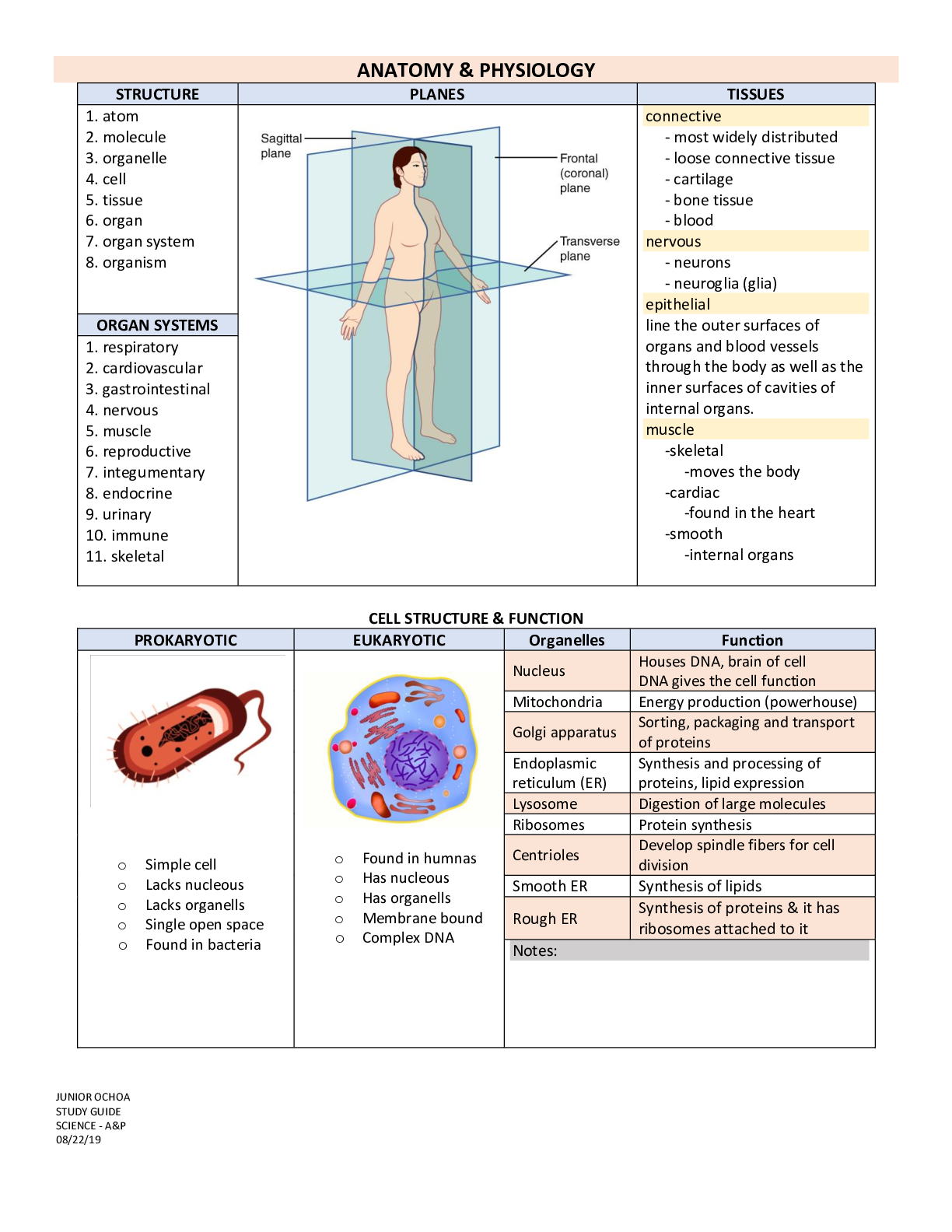 Preview of Science Anatomy & Physiology